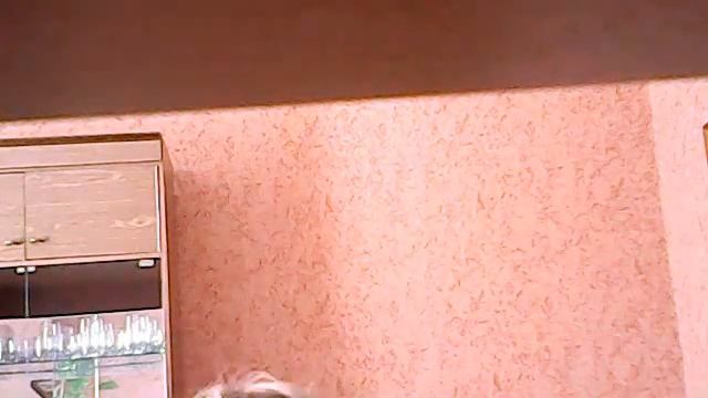 Видео с веб-камеры. Дата: 11 июня 2014 г., 10:42. смотреть онлайн