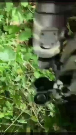 ДРГ хохлов поверила в себя и хотела пройти в тыл нашей группировки войск.