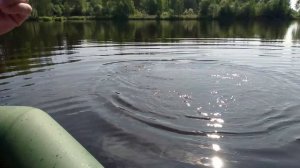 Вилюйский КРОКОДИЛ 08.06.2025