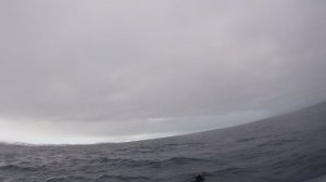 GOPR2885