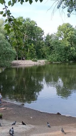 Харитоновский парк