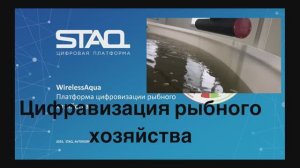 Платформа цифровизации рыбного хозяйства