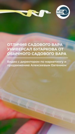 Отличия садового вара УНИВЕРСАЛ БУГАРКОВА от обычного садового вара 🌱