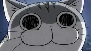 Вечера с кошкой / Evenings with the Cat: Первый сезон — все серии