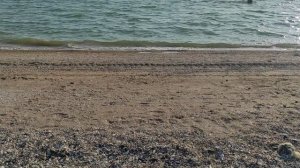 Азовское море