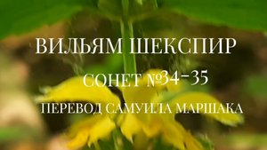 Вильям Шекспир. Сонет № 34-35. Пер. Самуила Яковлевича Маршака (Блистательный мне был обещан день)