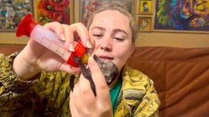 Мы знакомим Анфису с носушатами и придумываем НОВЫЕ ИМЕНА !