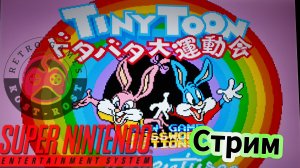 Tiny Toon Adventure s. Super Nintendo.