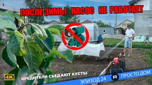 #24 Не работает насос для полива, борьба с вредителями на кустах