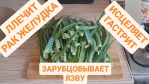 ЛЕЧИТ ГАСТРИТ, ЯЗВУ И РАК ЖЕЛУДКА - ТАКЖЕ ВОСТОНАВЛИВАЕТ ВСЕ КЛЕТКИ ОРГАНИЗМА