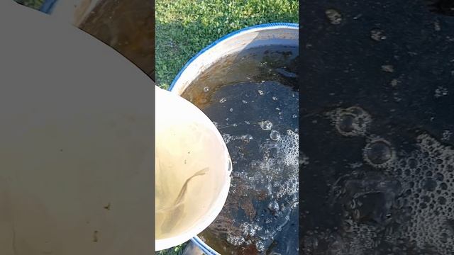 1000105432.mp4