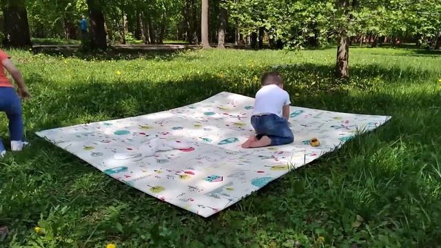 BABY NICE. Игровой двусторонний коврик. На пикнике. смотреть онлайн