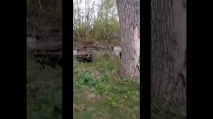 Николаевск-на-Амуре ЗАЧЕМ НАМ РЕФЕРЕНДУМ..? июнь, 2025