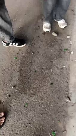 Долой аниме! Долой хентай!