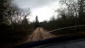 Природа Севера