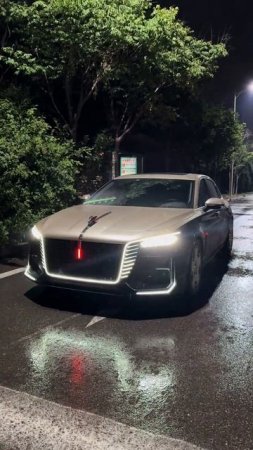 Red Flag H5 2025 от производителя FAW Hongqi. Это автомобиль среднего класса