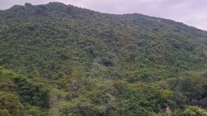 Янода. Канатная дорога. 12.05.2025