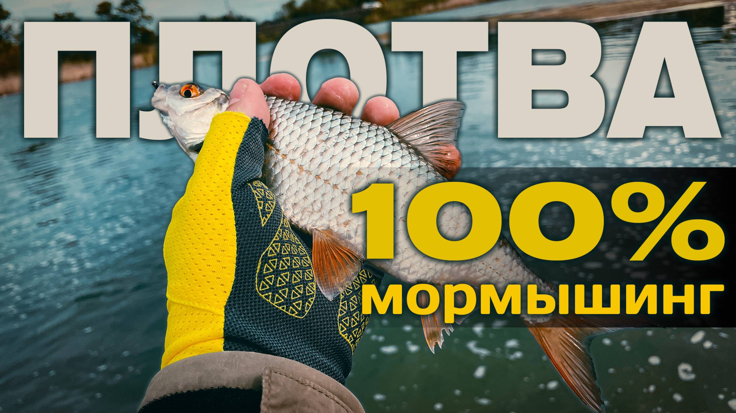 ✅ ТОП-3 ЦВЕТА ДЛЯ ПЛОТВЫ! 🔥ТАНТА С ЧЕСНОКОМ РВЁТ! 🔥Плотва атакует без остановки! #мормышинг