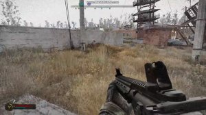 Выжигатель мозгов из теней чернобыля в сталкер 2