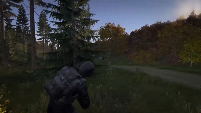 How do you move in DayZ? | Как ты двигаешься в DayZ?
