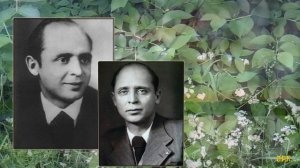 КОГДА ПРОХОДИТ МОЛОДОСТЬ