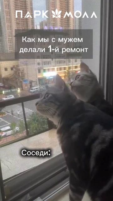 Первый ремонт он такой