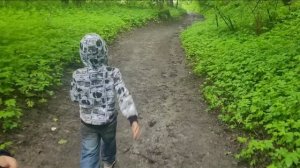 Экотропа Дудергофские высоты под дождём  и Красное село ,