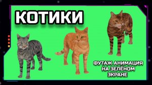 КОТИКИ видео GREEN SCREEN футаж. ХРОМАКЕЙ АНИМАЦИЯ на зелёном экране.