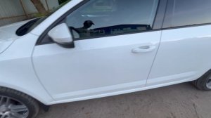 Октавия осмотр перед продажей.