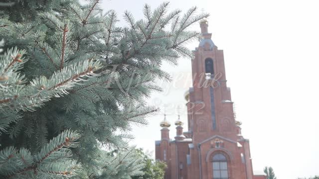 Крестины Жени! О Пискун о Ничка Болэл лэ Внуконэн! Клип! смотреть онлайн