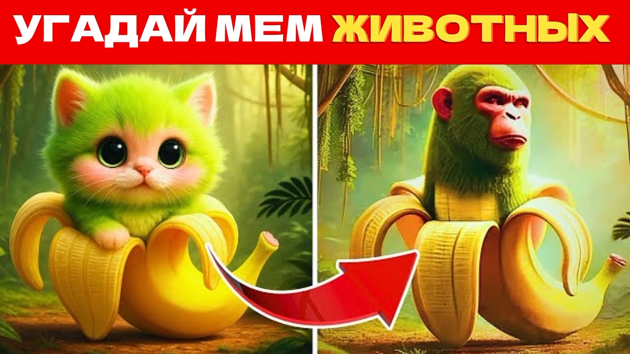 УГАДАЙ ИТАЛЬЯНСКИХ МЕМ ЖИВОТНЫХ, НО ОНИ КОТЫ