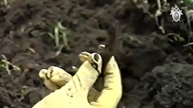 Допрос серийного убийцы Александра Спесивцева