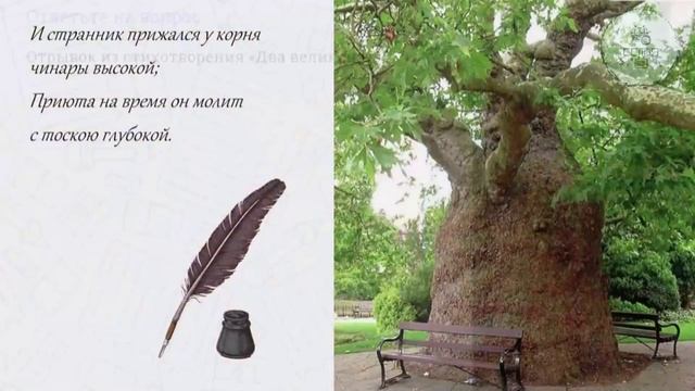 ВИДИОВЕКТОРИНА ПО ЛИТИРАТУРЕ К юбилею Михаила Юрьевича Лермонтова