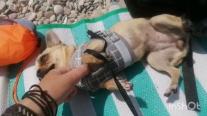 "Где полотенце?" Наглядный гайд по вытиранию после купания в море