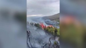 На Камчатке из-за пожаров введен особый режим