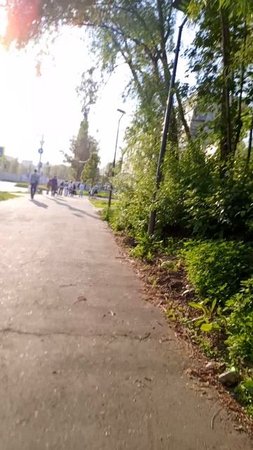 светофор зелёный свет люди идут