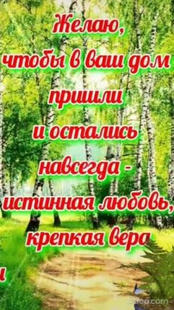 С праздником Святой Троицы. Shorts.