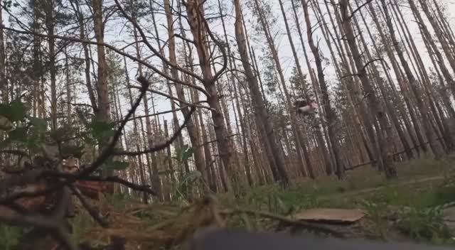     FPV-   