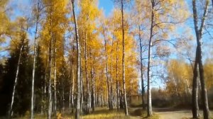 Осенняя пора очей  Очерований