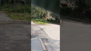 Скромно, но со вкусом (да-да, удивляйтесь)