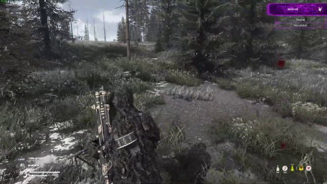 DayZ TWINKLE PLAY(СОСНОВЫЙ БОР) смотреть онлайн