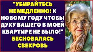 Свекровь злилась: — Убирайтесь немедленно, к Новому Году чтобы духу вашего в моей квартире не было!