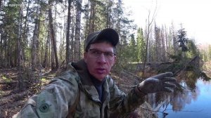 Заготовил дрова на осеннюю охоту. Сходил на сбор чаги. 6 серия