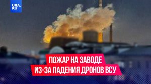 Дроны ВСУ атаковали Новомосковск в Тульской области: на территории завода «Азот» произошел пожар