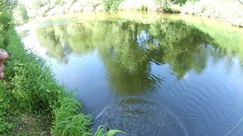 Скоро Скоро