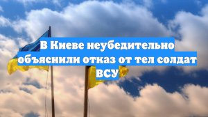 В Киеве неубедительно объяснили отказ от тел солдат ВСУ