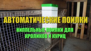 ПОИЛКИ ДЛЯ КУР И КРОЛИКОВ. Автоматические поилки для кроликов и кур. Облегчаем уход за животными