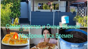 Заливной Пирог с Лук и Яйцом/Расрою вам Секрет Удобрения /Это Удобрения меня Спасает🔥🌱