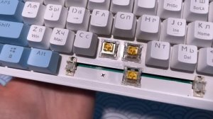 CYBERLYNX ZA63 5