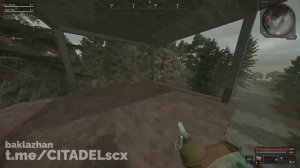 ВЫЛАЗ НА БОЛОТАХ | ЛЕГ АРТ | STALCRAFT:X